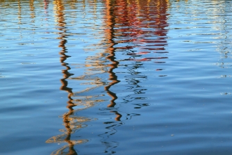 335x223-Abs1030-red-yellow-brown-mast-reflections.jpg
